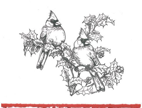 Bird Illsturtaitions